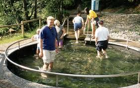 Barfußpark Hallwangen